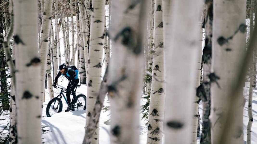 Warm und trocken: 8 Softshell-Jacken im Vergleich