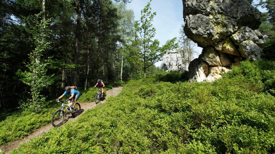 Urteil rechtskräftig: Radfahren auf Waldwegen erlaubt