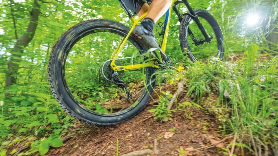 Plus-Reifen: Bessere Traktion, mehr Grip beim Biken
