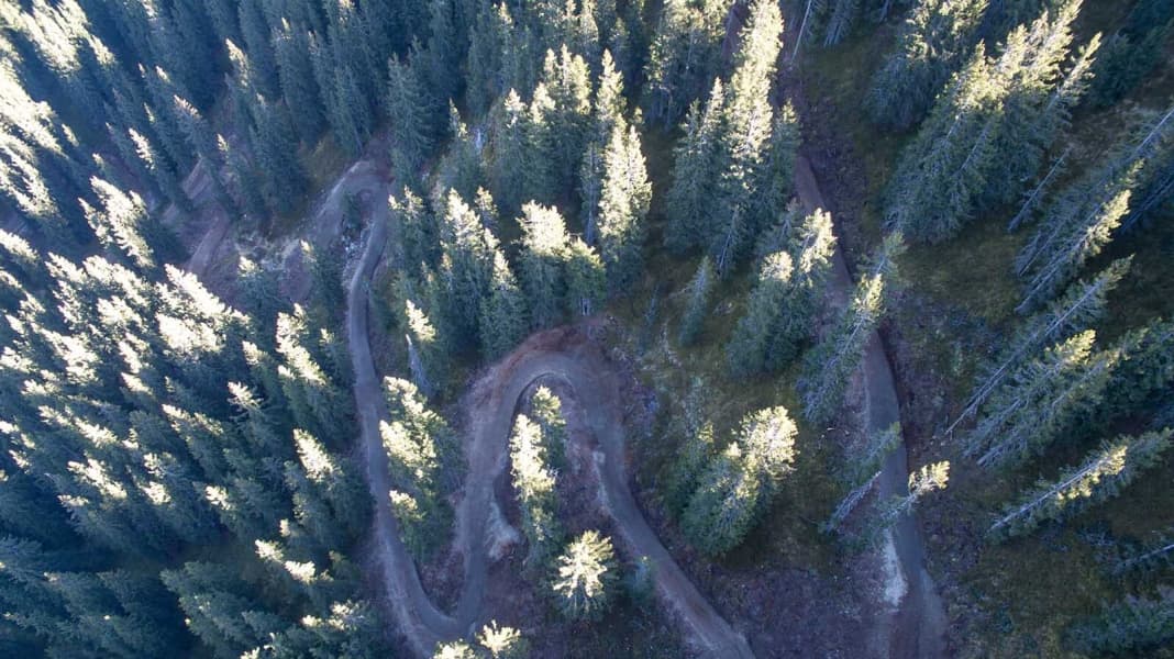 Saalfelden Leogang: Flow-Trail für pures MTB-Vergnügen