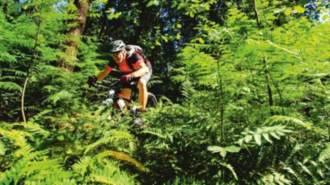 Bike-Spots im Pott: Die Haard