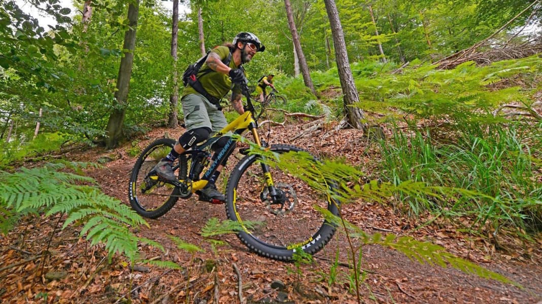 MTB-Park Pfälzerwald auf 900 Kilometer gewachsen