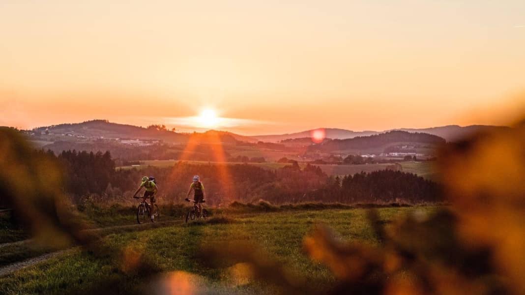 Wurzelwege und MTB-Trails im Land der Granitbiker