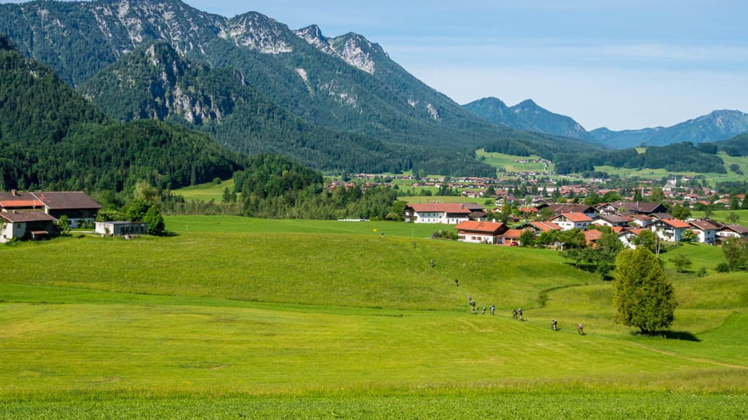 Chiemgau King: Die Krönung