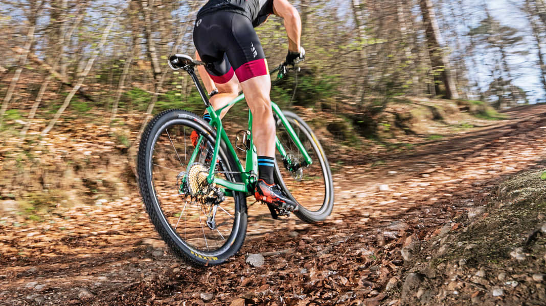 Hardtail: Orbea Alma M-LTD im Test
