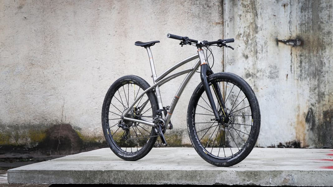 Cruiser mtb on sale