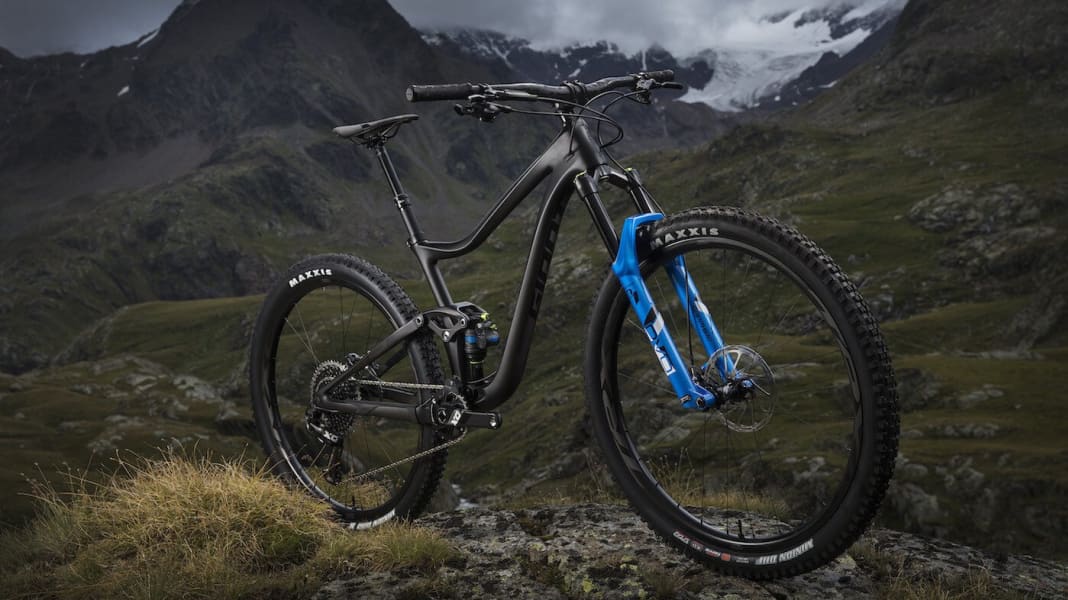 Giant Trance 29: Neues Super-Trailbike?