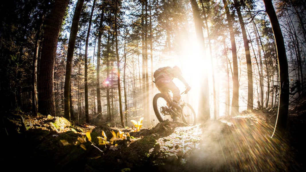 MTB-Trails in den Westlichen Wäldern um Augsburg