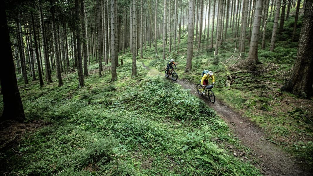 MTB-Trails im wilden Thüringer Wald