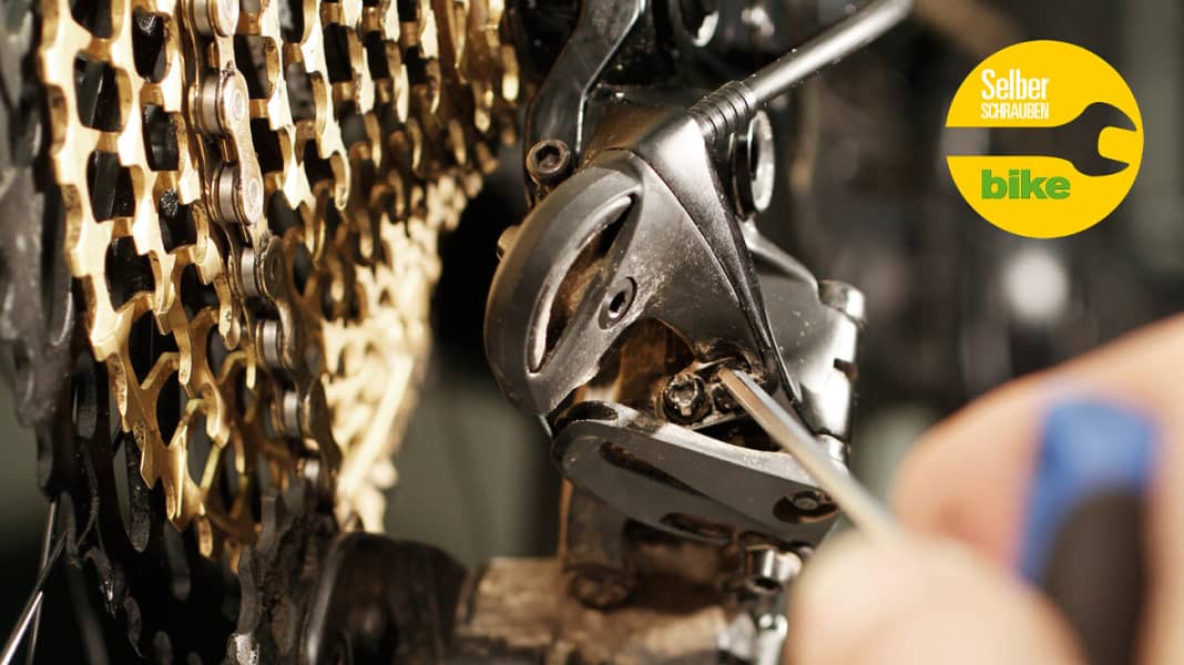 TECHNIK: Anleitung: Sram 1x12-Schaltung einstellen