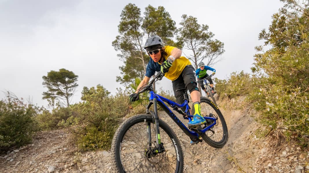 Vier 140-mm-Federgabeln im Vergleichstest