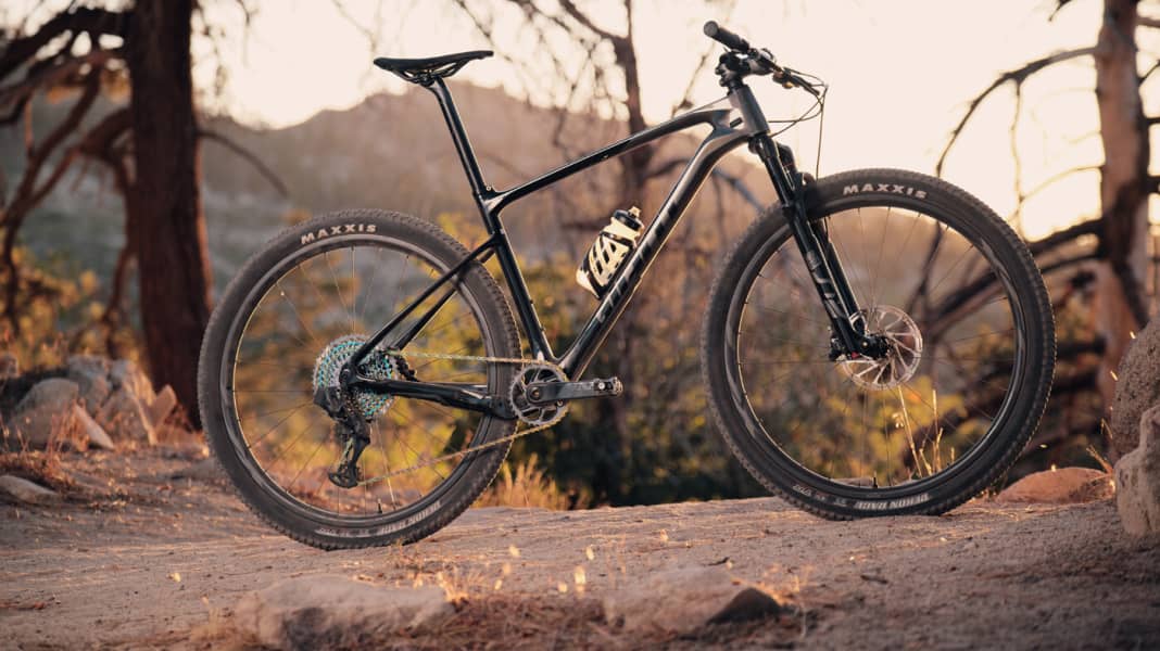 Xtc advanced 2024 29 2 2020