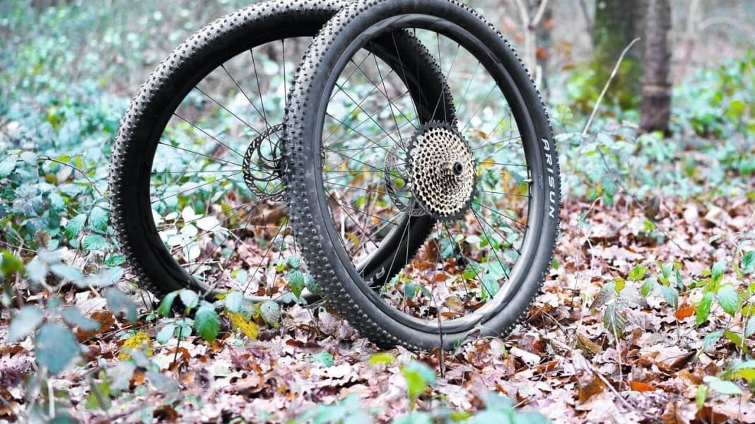 Schon gefahren Laufrader Giant XCR1 BIKE