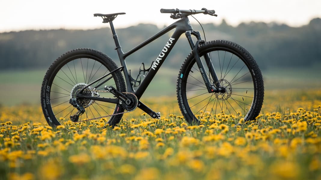 Nur ein sichtbares Kabel am Zukunfts-Bike von Magura