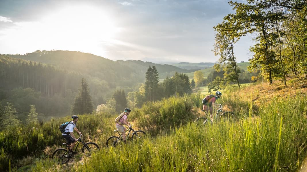 Neu 2020: Stoneman Arduenna in Belgien