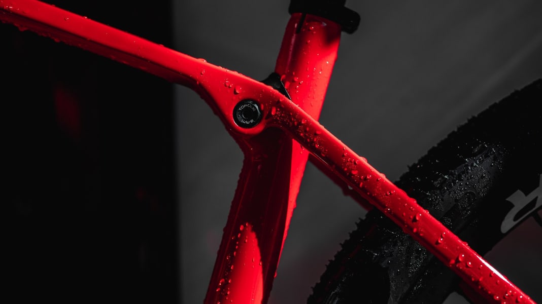 Ab 1750 Euro: das neue Trek Procaliber Hardtail