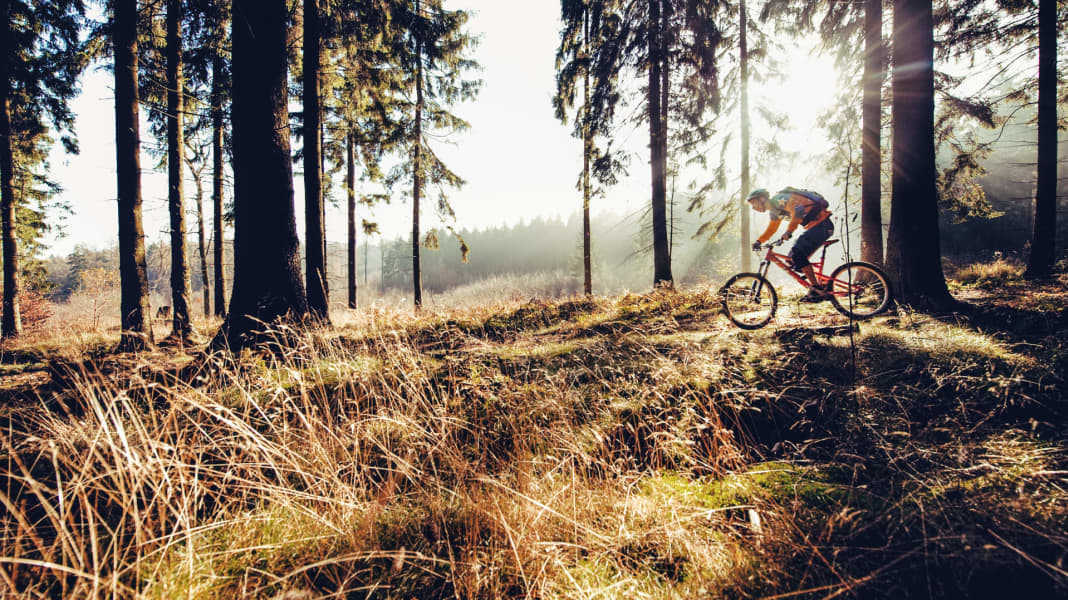 Diese 6 Mountainbike-Trails sind auch im Winter meist trocken!