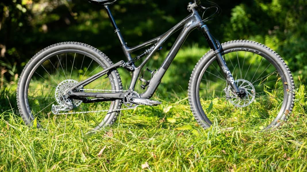 Stumpy mtb outlet