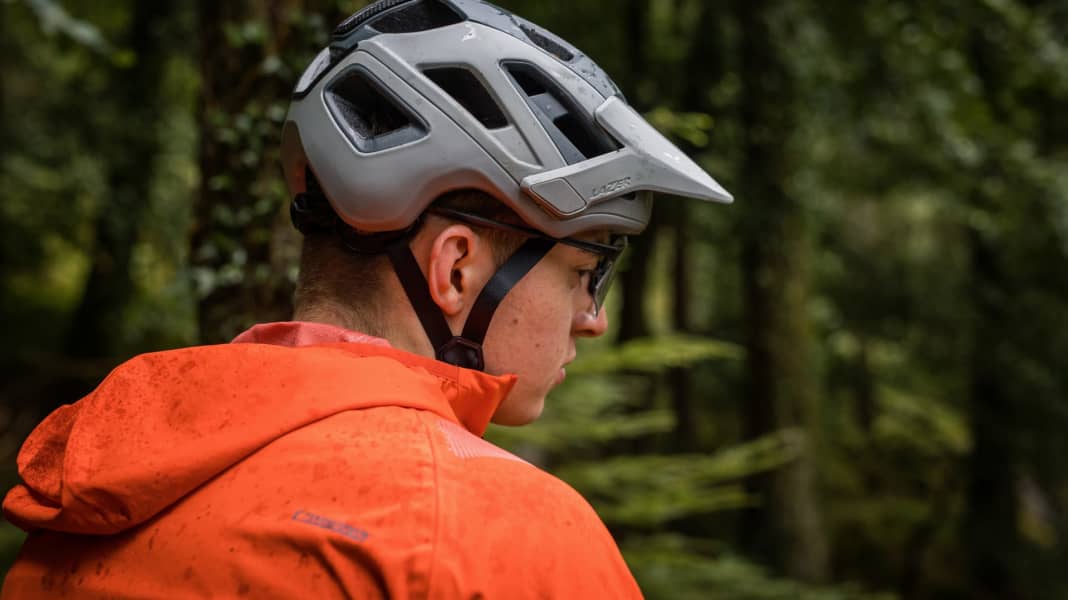 Jagdrevier: Der Jackal auf Beutezug