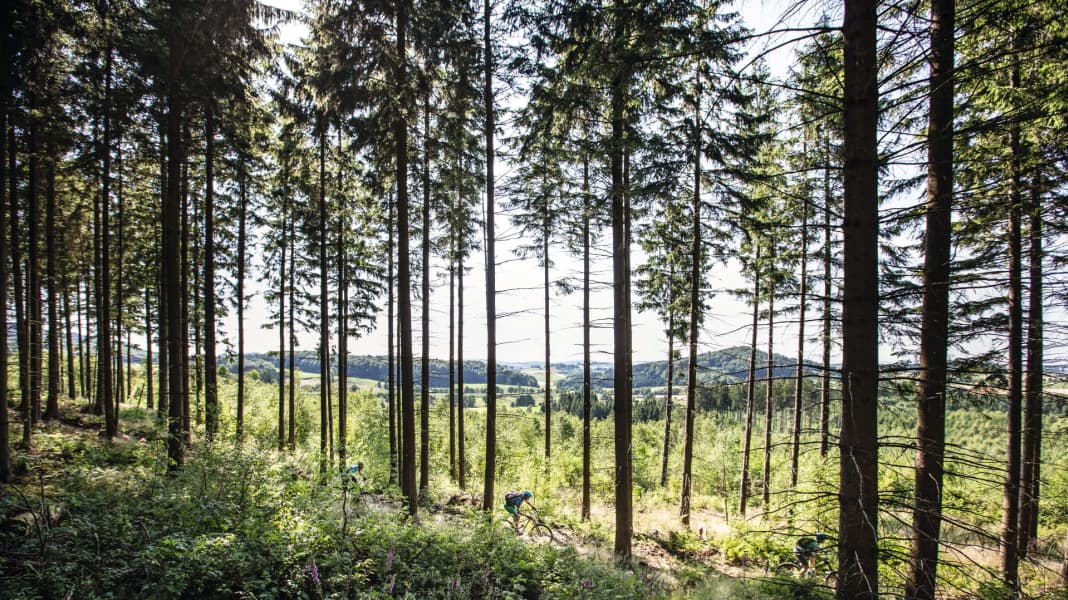 Mekka für Mountainbiker: das Sauerland