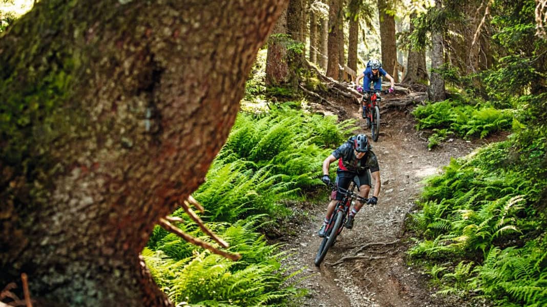 Diese 5 Trails musst Du fahren!