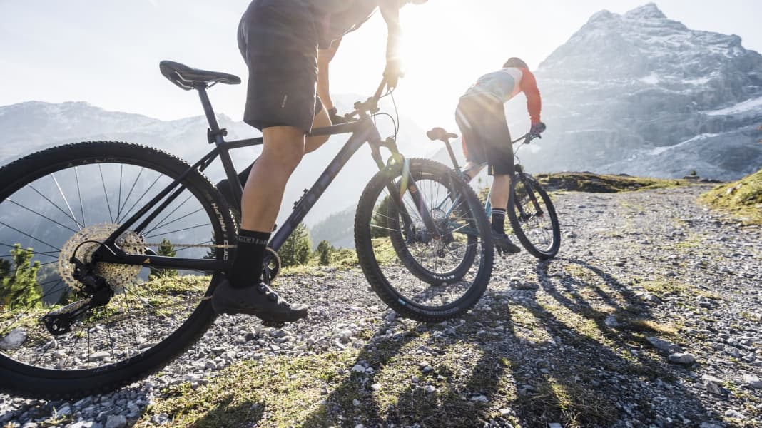 Wer baut das beste Einsteiger-Mountainbike 2021?