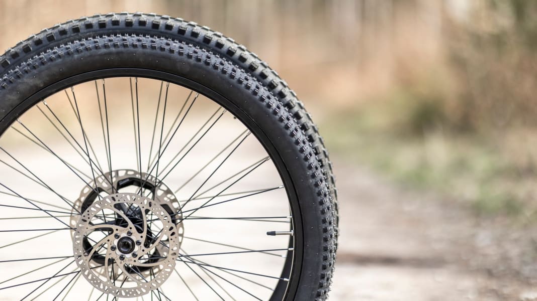 27,5 oder 29 Zoll Passende Laufradgröße beim EMTB finden BIKE