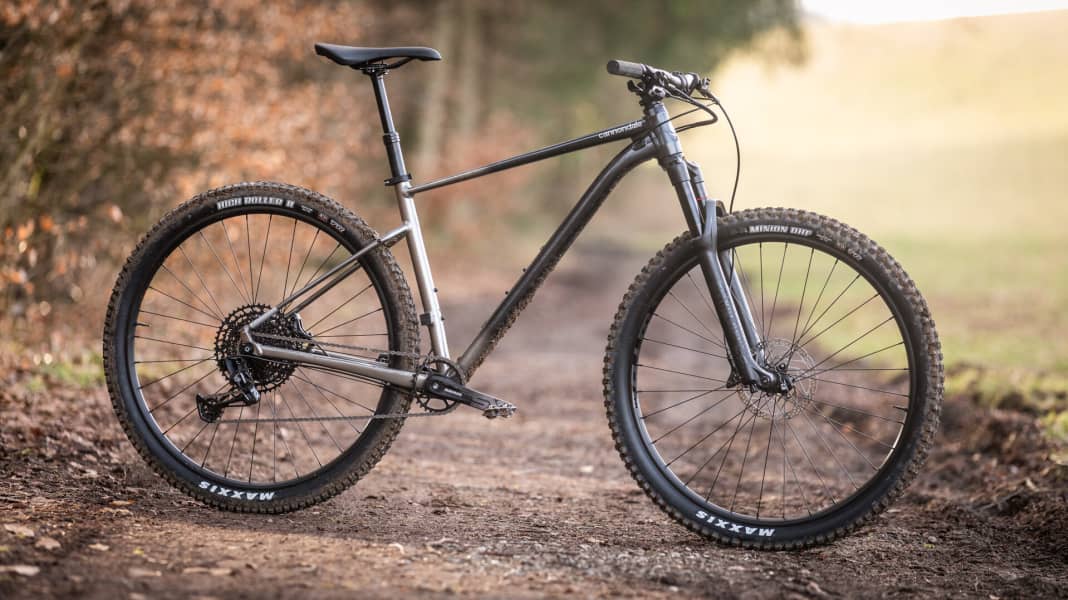 Cannondale Trail SE: Abfahrtsspaß für 1600 Euro