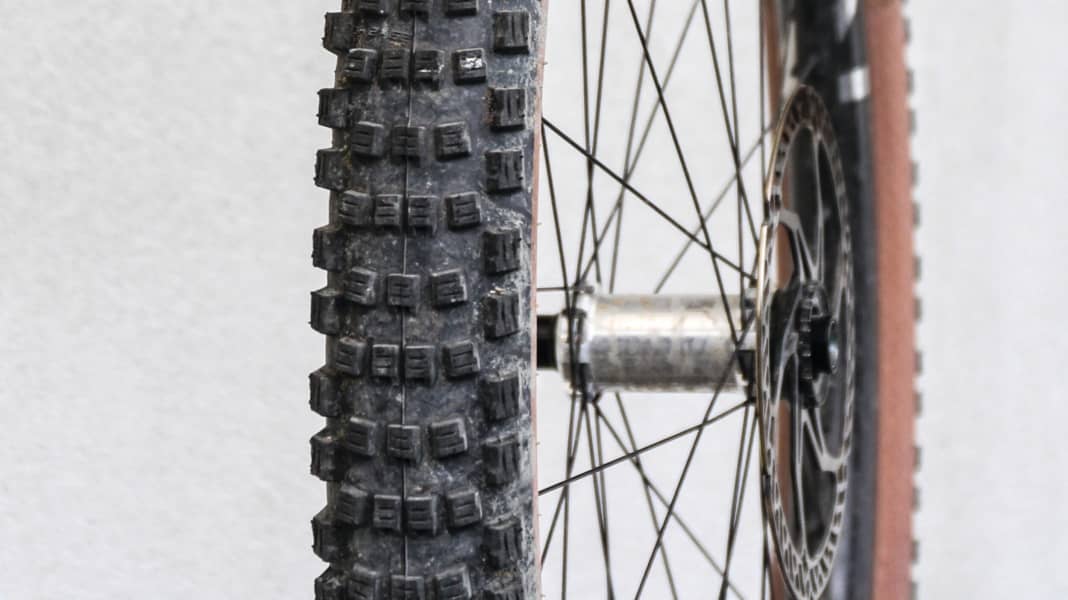 Zuverlässiger Allrounder: Schwalbe Wicked Will Reifen