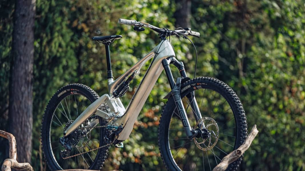 Der neue E-Downhiller: Pole Voima