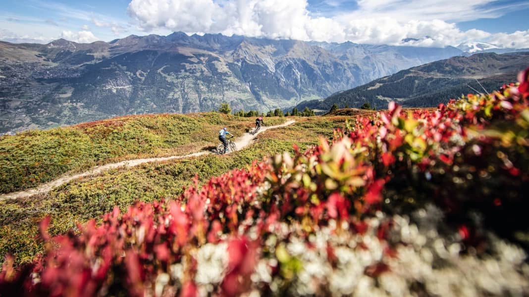 Col de Mille: Trail-Schmankerl an Mont-Blanc-Panorama