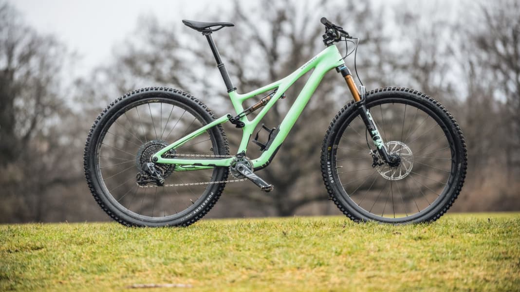 Stumpjumper pro clearance