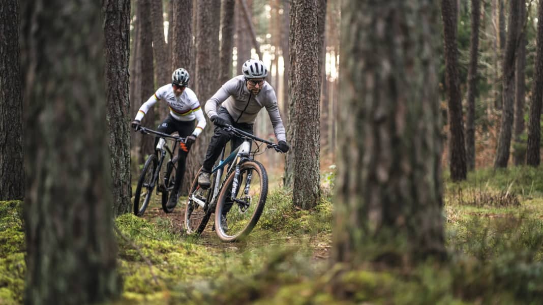 Cannondale vs sale scott