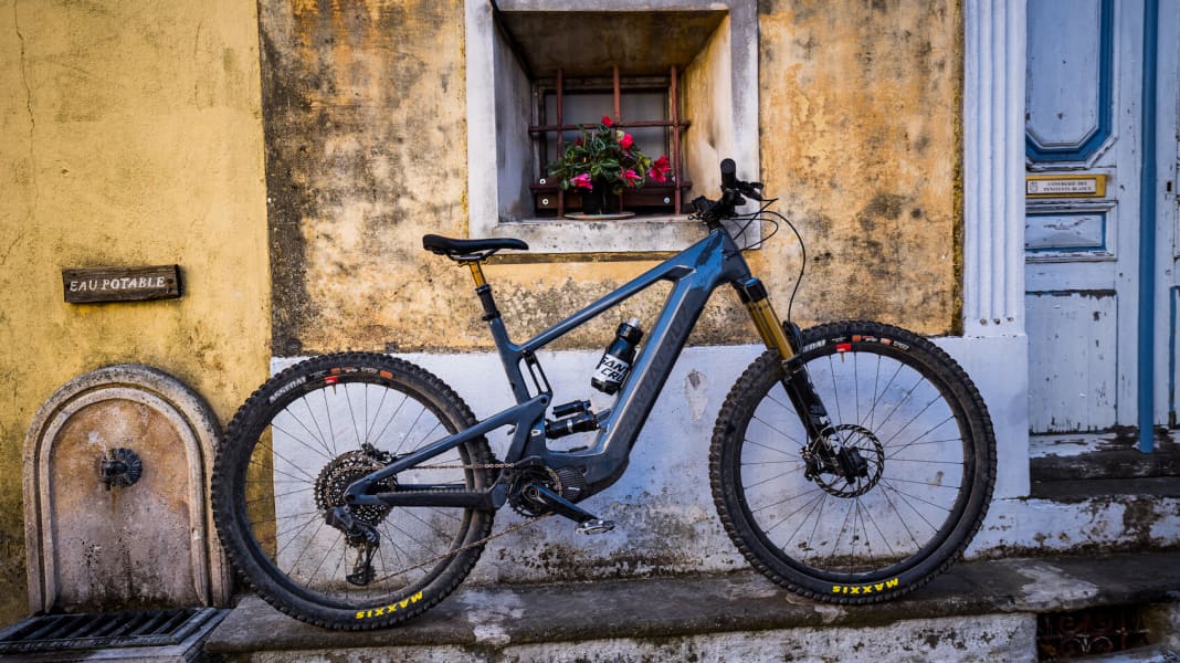Santa cruz heckler x01 top