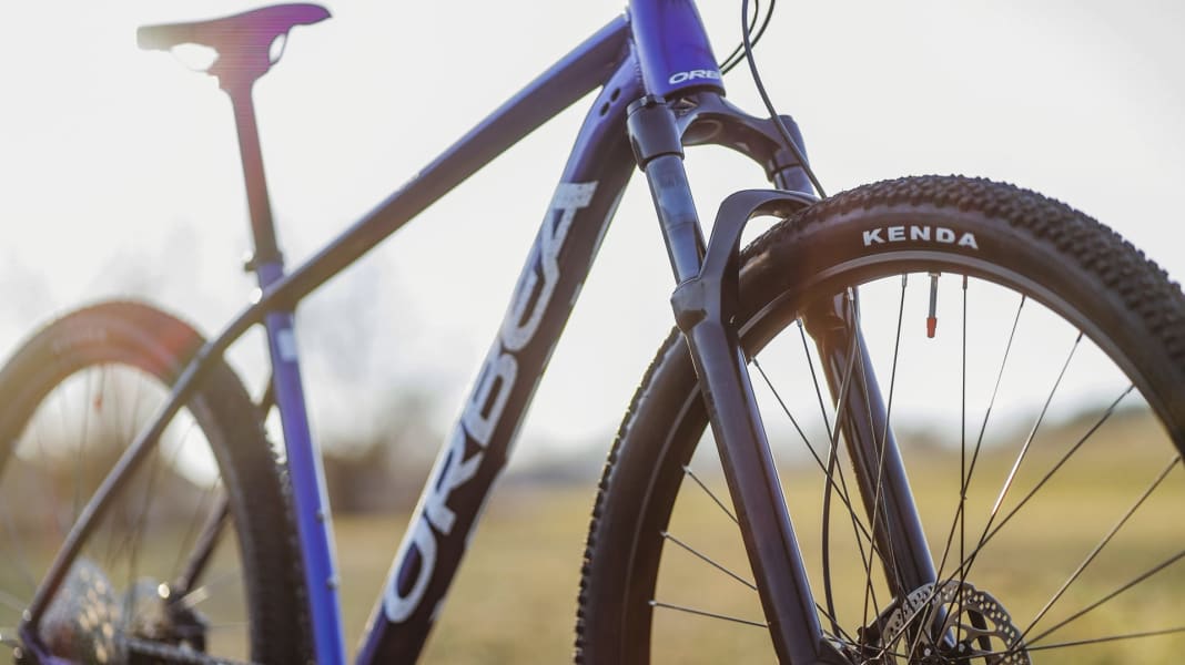 Hardtail Orbea Onna 10 im Test BIKE