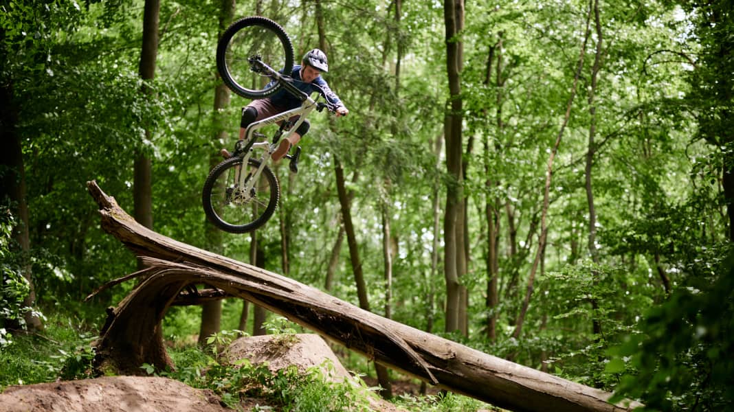 Interview mit Waldexperte Peter Wohlleben: Töten Biker Bäume?