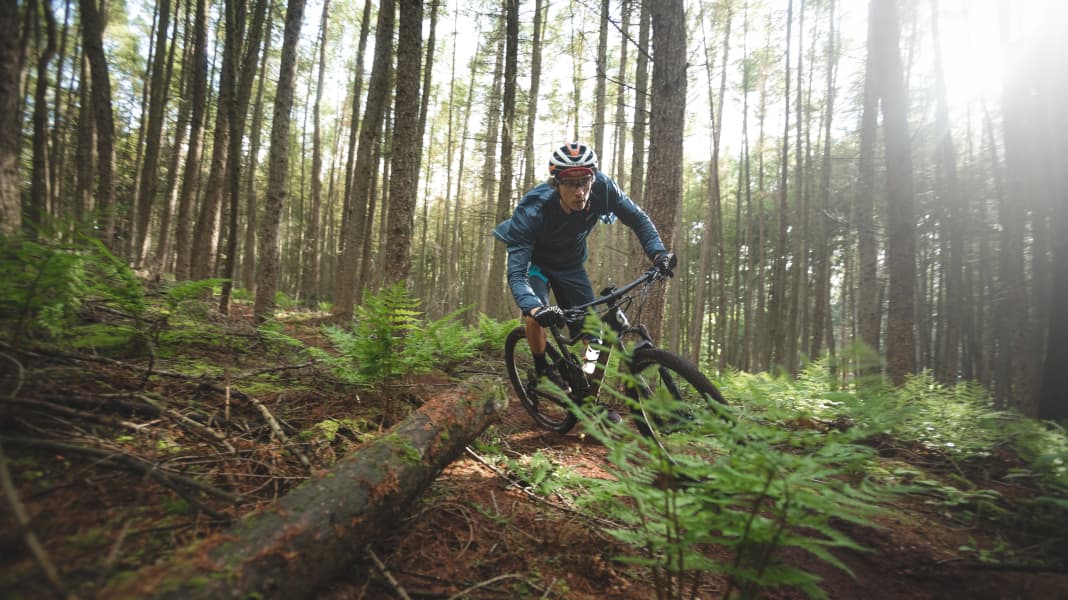 Bundeswaldgesetz 2024: NaBu will Mountainbiker von Trails verbannen
