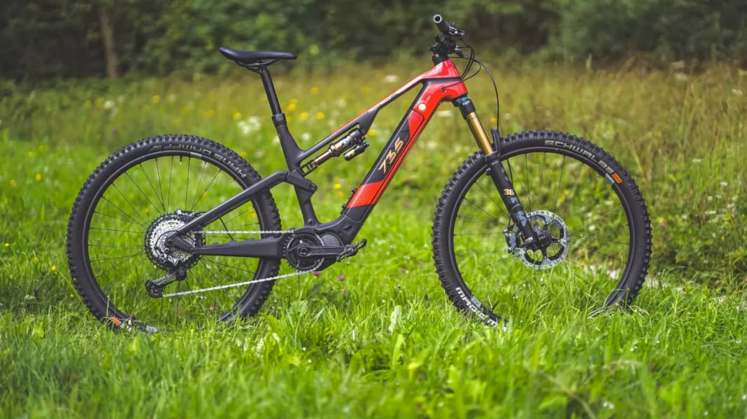 Rotwild zeigt leichtes highend E-Mountainbike: das R.X735