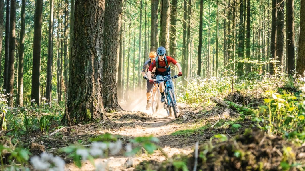Mountainbiken in Freisen im Saarland: Sharkfins am Füsselberg