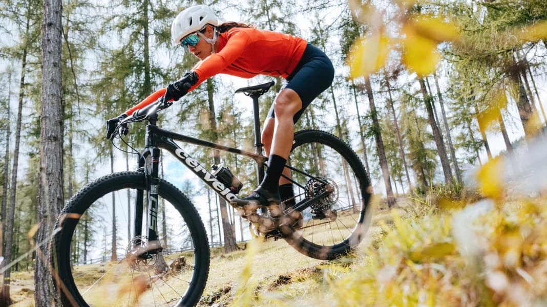 Cervelo mountainbike new arrivals