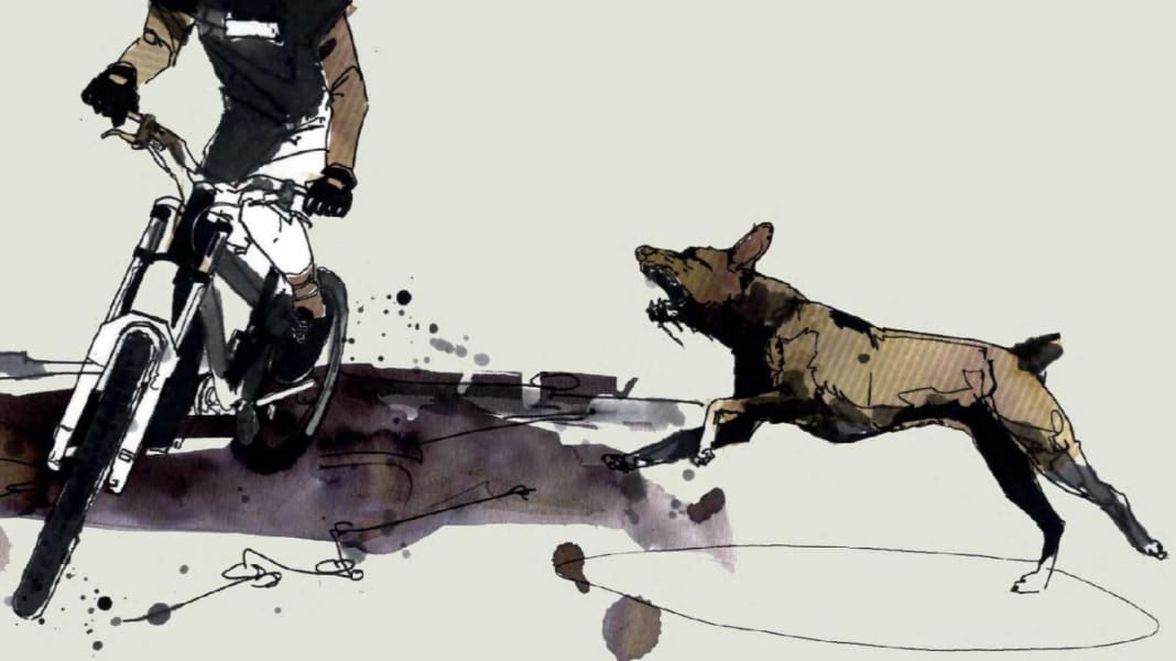 Biker und wilde Tiere - Teil 3: Was du bei aggressiven Hunden beachten solltest