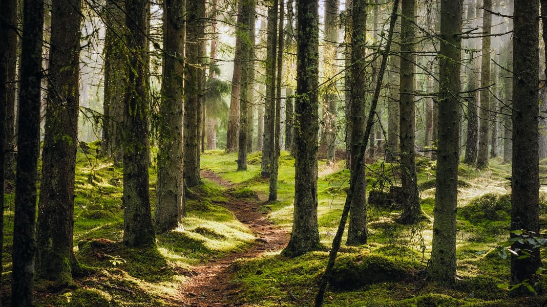 Naturschutzbund (NaBu) reagiert auf BIKE-Artikel: MTB-Einschränkungen nur eine Formulierungs-Panne?