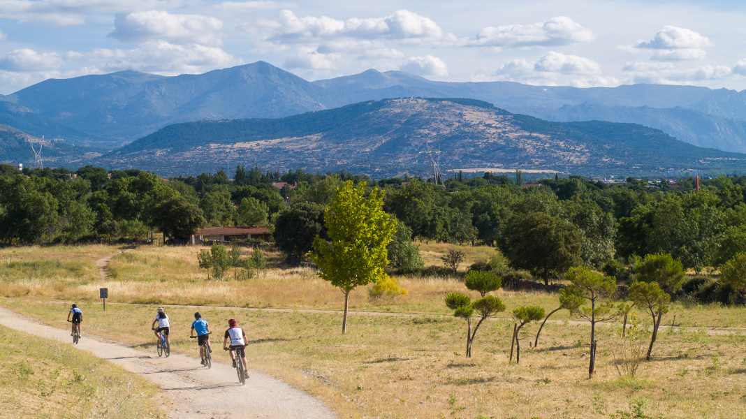 Natur trifft auf Kultur: Welche Region Radfahrer jetzt besonders anzieht