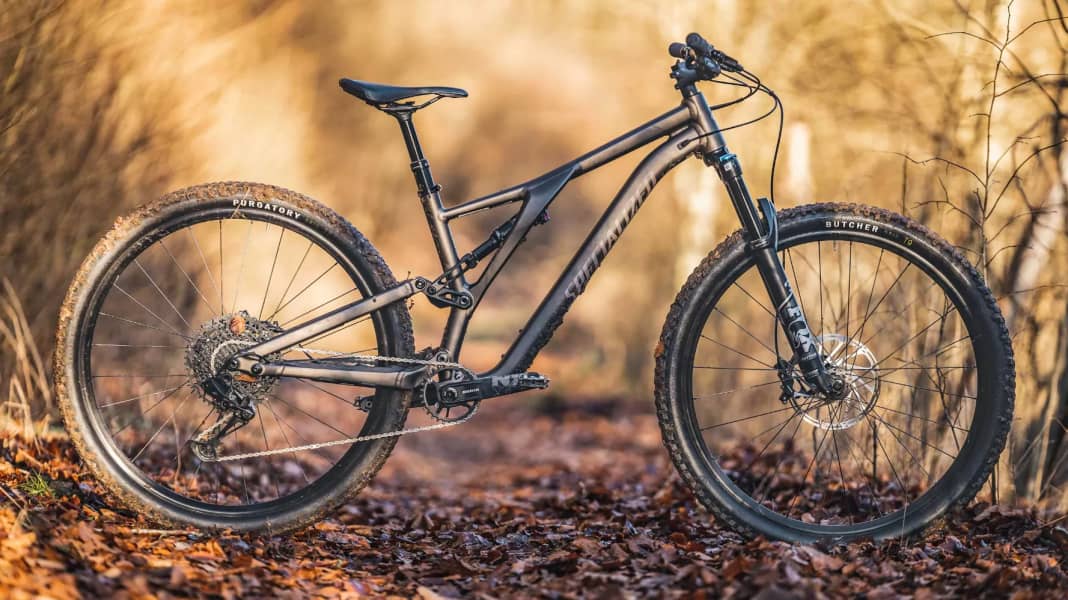Stumpjumper alloy test 2025