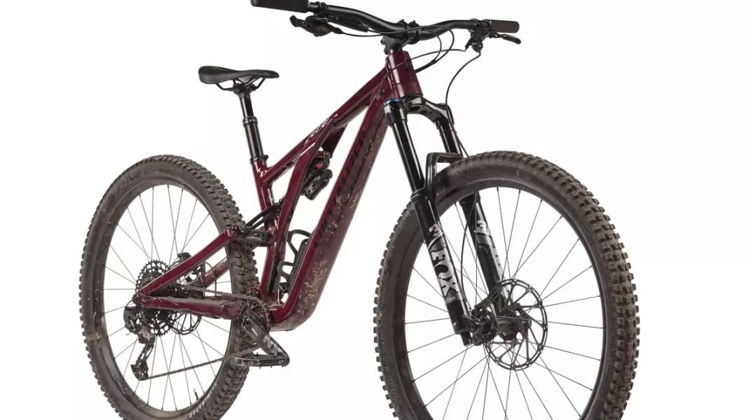 Stumpjumper evo test sale