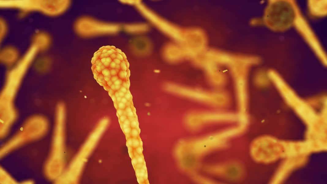 Tetanus - die unterschätzte Gefahr: Warum Impfen wichtig ist