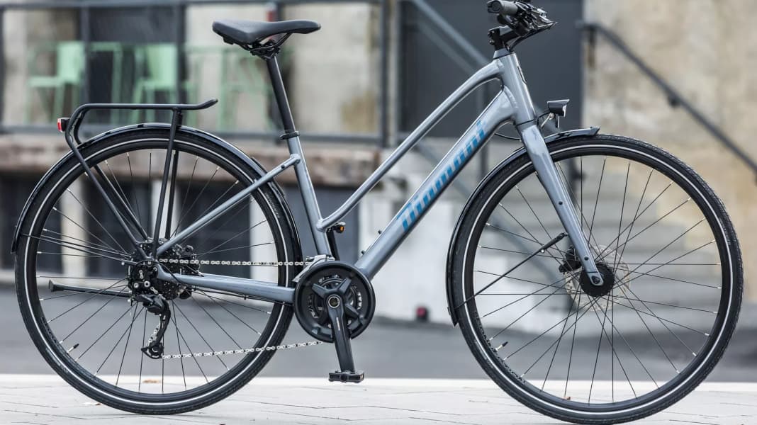 Günstiger Allrounder: Das Diamant Rubin im MYBIKE-Test