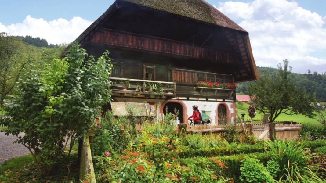 Entlang der Schwarzwald-Flüsse