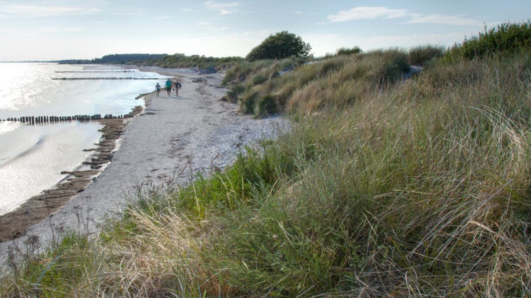 Die dänischen Ostseeinseln mit den Scandlines-Fähren erkunden