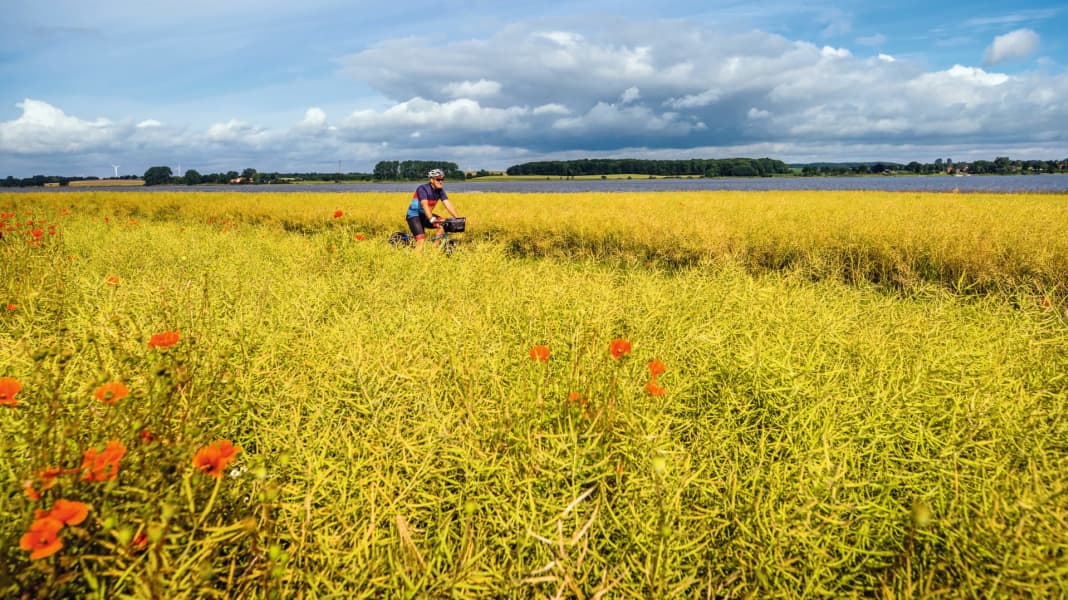 Wunderbare Schlei-Wege